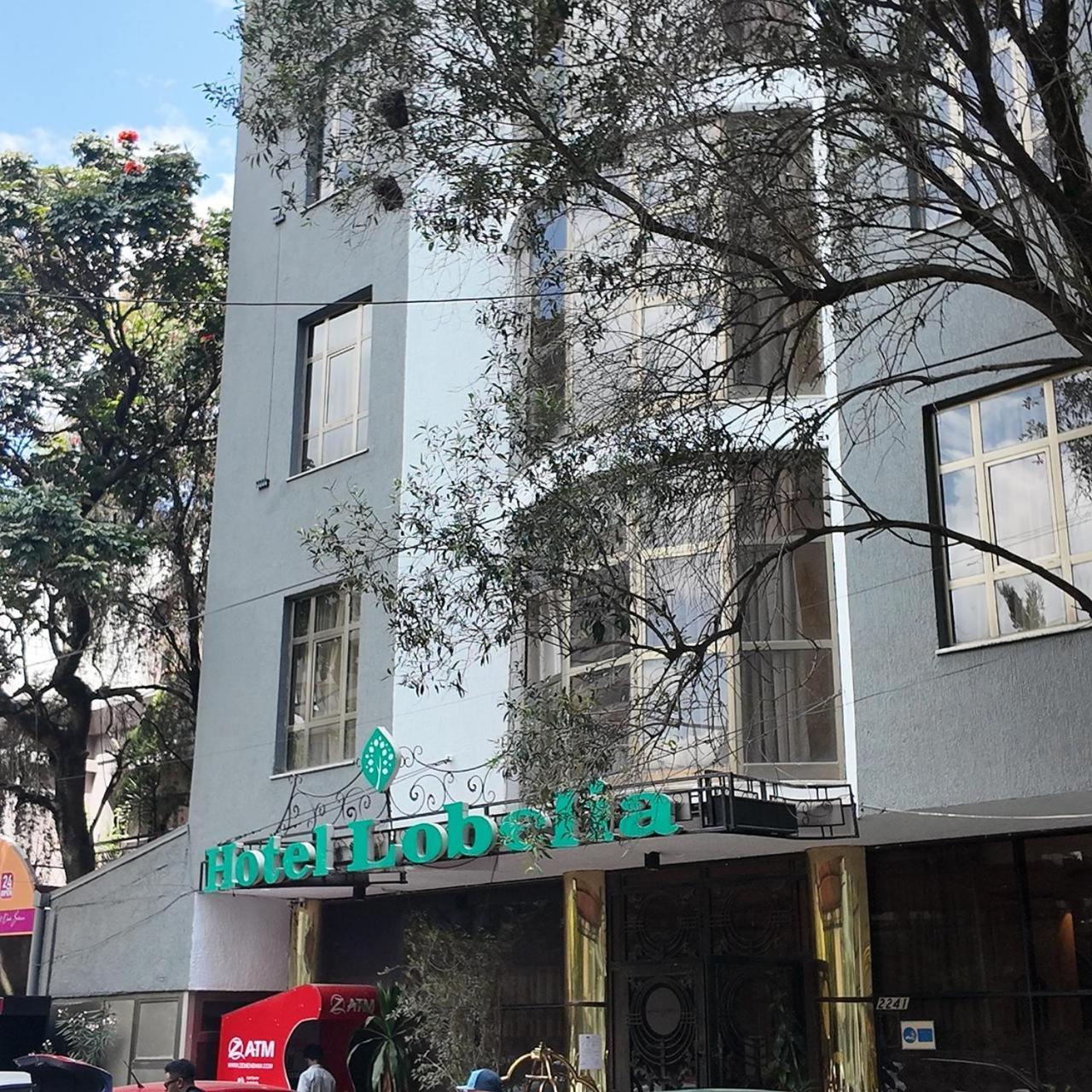 Hotel Lobelia Addis Ababa Exterior foto