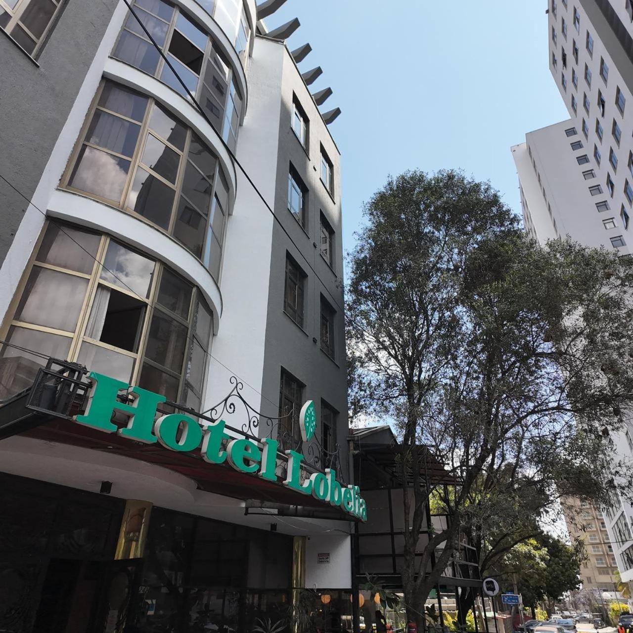 Hotel Lobelia Addis Ababa Exterior foto